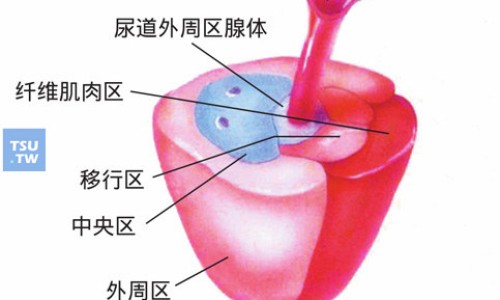 华北牌灵芝绿色胶囊多钱一盒-华灵芝的功效专区_华北牌灵芝胶囊专区_华药灵芝胶囊网
